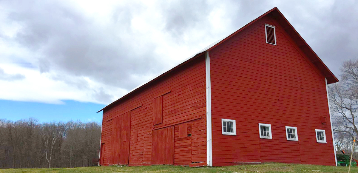 2023 Sohm & Kracher Grüner Veltliner “Lion” - Schatzi Wines